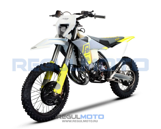 Мотоцикл Regulmoto NIBBI TE N300-SR 2T
